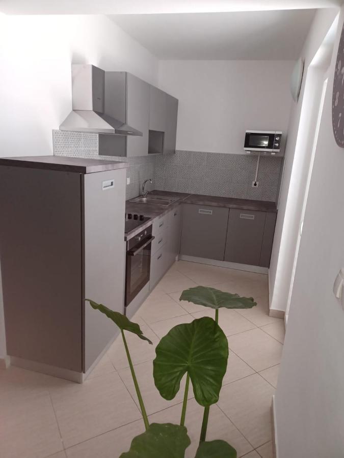Roza Apartment *